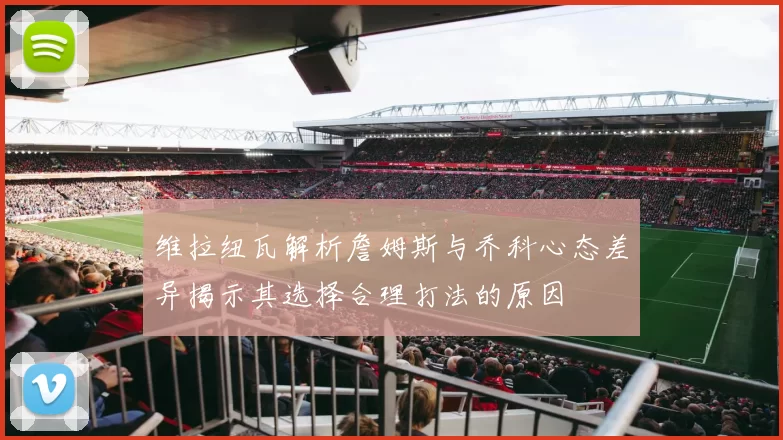 维拉纽瓦解析詹姆斯与乔科心态差异揭示其选择合理打法的原因