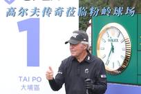 格逐渐成型